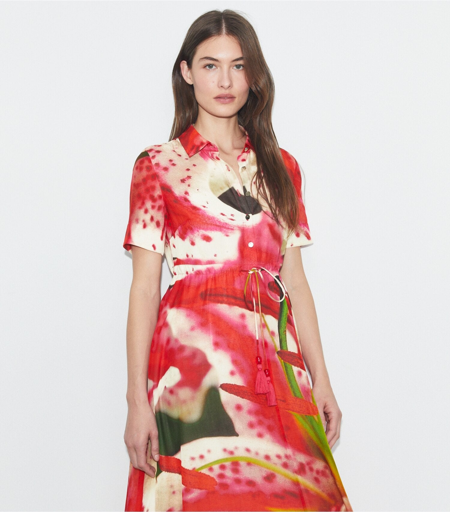 Cotton Shirtdress
