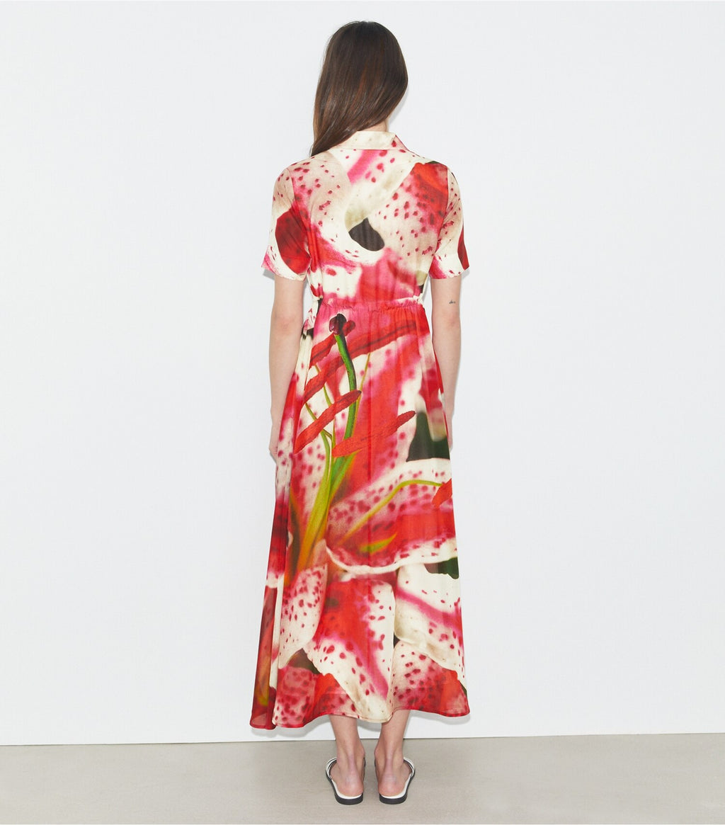 Cotton Shirtdress
